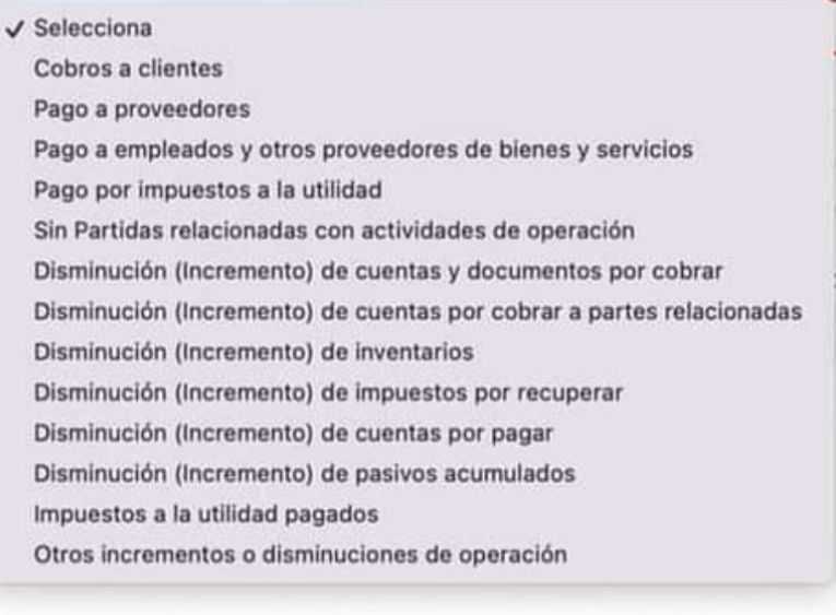 Catálogo de rubros del estado financiero de flujos de efectivo